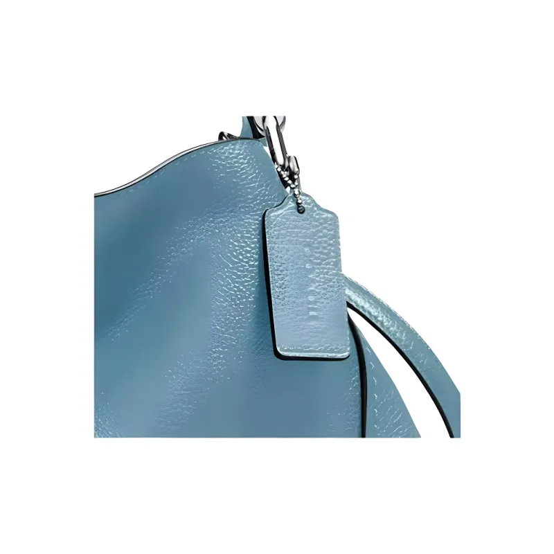 COACH Edie Handbags-1