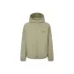 Light Green BGD