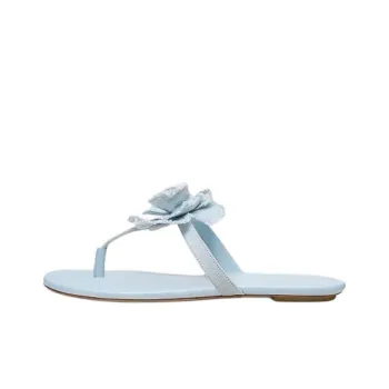 Stuart Weitzman/SW Flip Flops Women's Blue