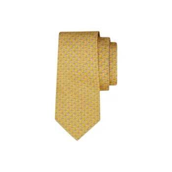 FERRAGAMO Silk Ties Men's Yellow