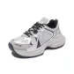 Silver Gray