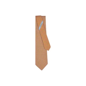 FERRAGAMO Silk Ties Men's Brown