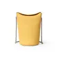 Ginger Yellow