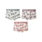 Mori Style Space Bear-Forest Green Tone+Red Beans Tone+Orange Pink Tone