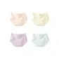 B Set: Sky Blue+Champagne Skin+Lavender+Lime Green
