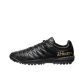 Black Gold
