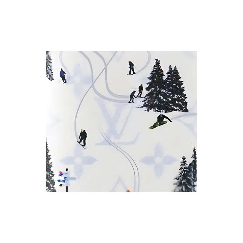 LOUIS VUITTON Ski Pocket Organizer White-4
