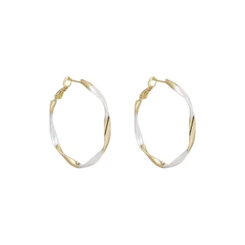 SHINE S925 Silver Earrings Women's