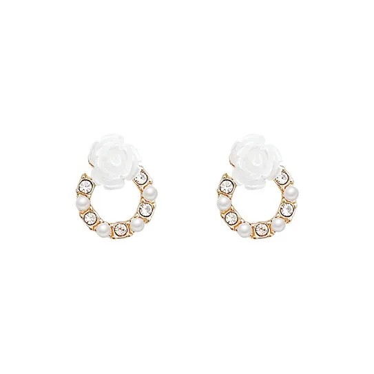 QIANFANGDAHUANGYE Zircon Stud Earrings Women's-0