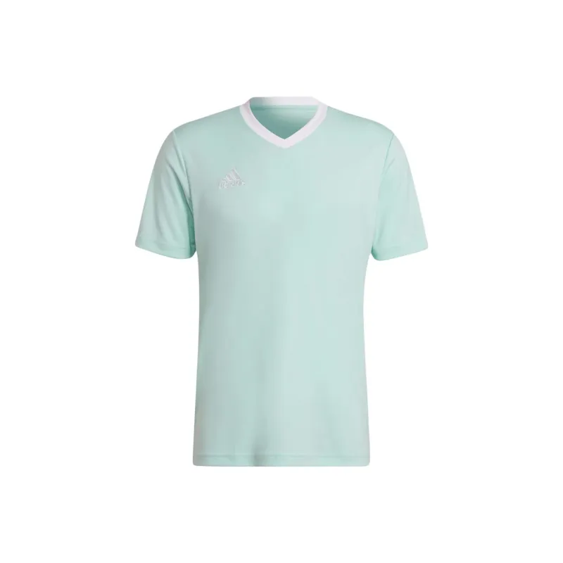 Adidas Clothing T Shirts Men Mint-0