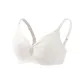 Milk White