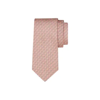 Ferragamo Ties Men