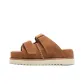 Chestnut