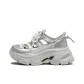 Silver/Gray