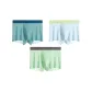 Mint Green White Blue Jasper