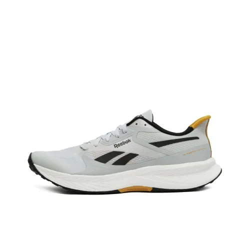 Floatride Energy 6 Reebok 'Moon Grey Heritage Gold'