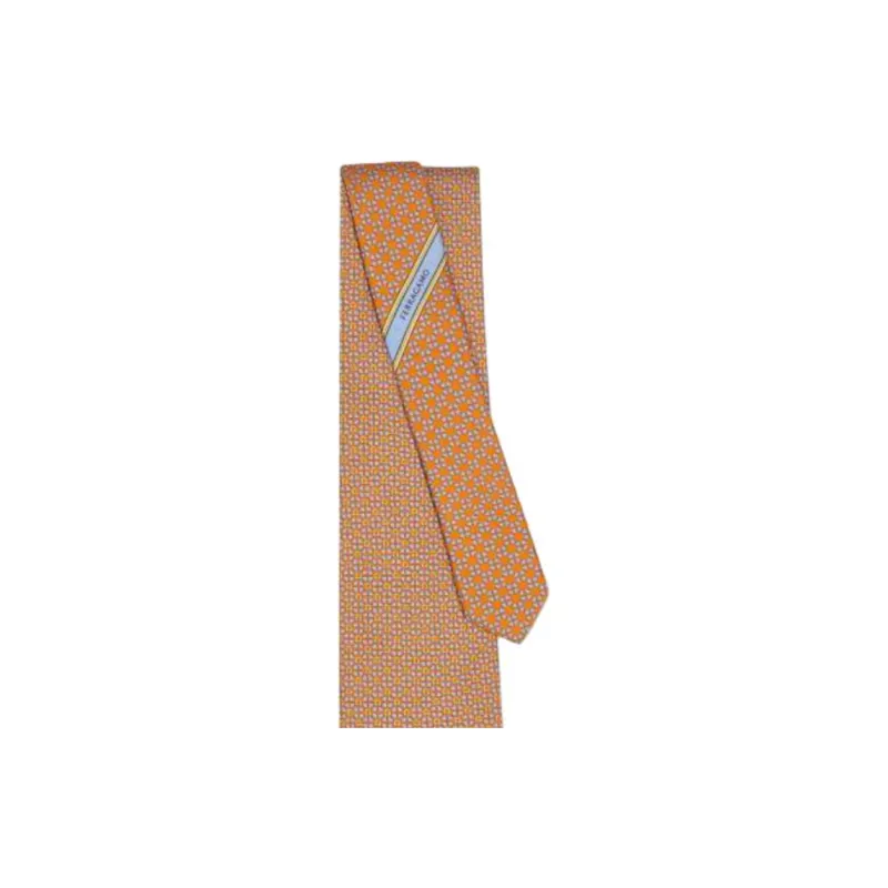 FERRAGAMO Silk Ties Men's Brown-2