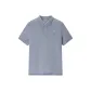70 Light Purple Gray