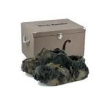 Hidden-Gift Box 2