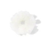 White-Hair Tie