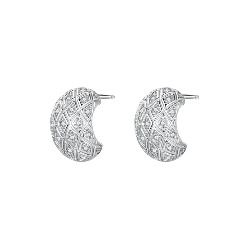 ZEGL S925 Silver Stud Earrings Women's-0