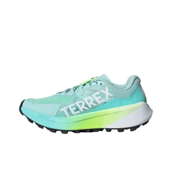 Adidas Terrex Agravic 3 Anti Slip Wear Resistant Low Top Running Shoes Women's Light Shimmery Blue