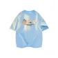 Arctic Ice Blue
