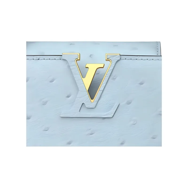 LOUIS VUITTON X Takashi Murakami Capucines Ostrich Baby Blue-3