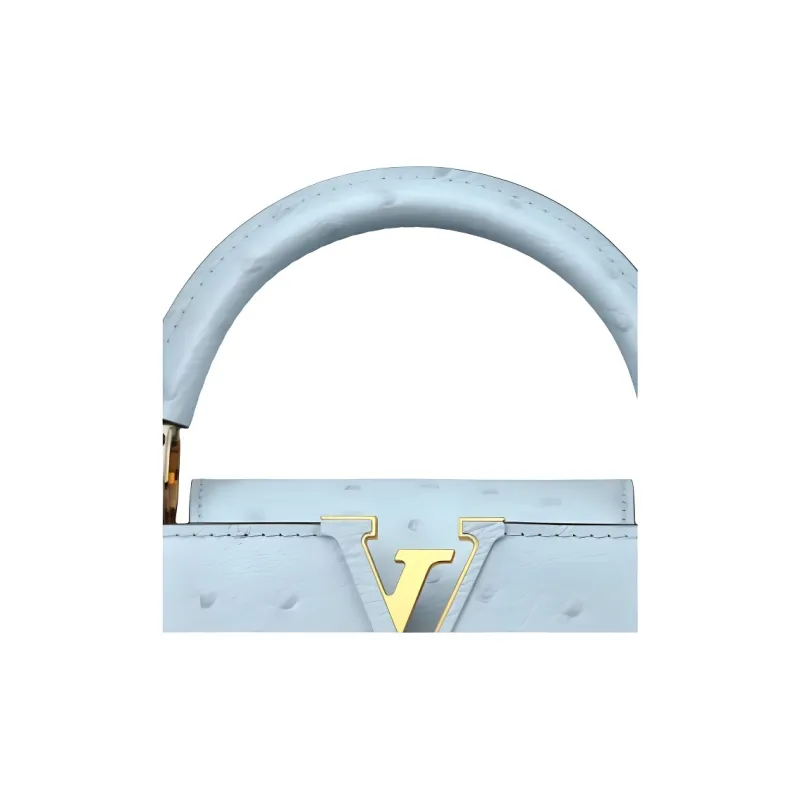 LOUIS VUITTON X Takashi Murakami Capucines Ostrich Baby Blue-2