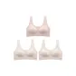 3 Pack (New Elegant Pink+2 Milk White)