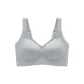 Silver Gray