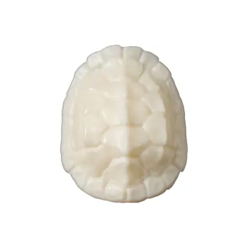 WUDE Ivory Nut Handlebar Piece Unisex