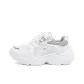 White Gray