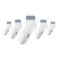 5 Pack White