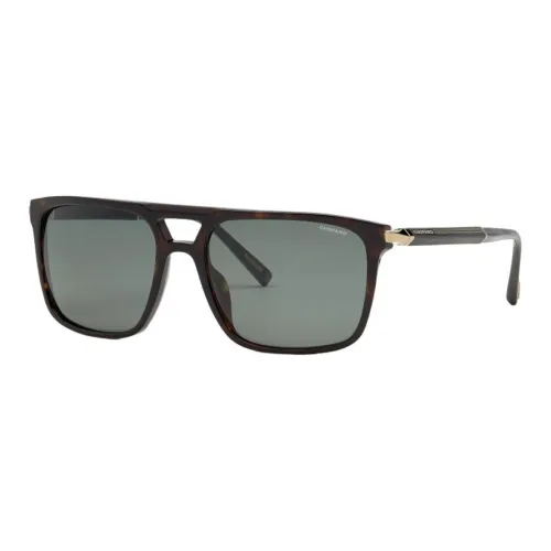 CHOPARD Acetate Aviator Gg0024s Sunglasses Men's Tortoiseshell