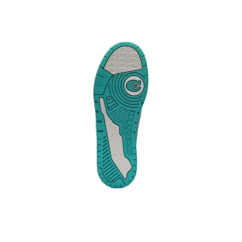 COACH Soho Low Top Skateboard Shoes Men's Cyan-4