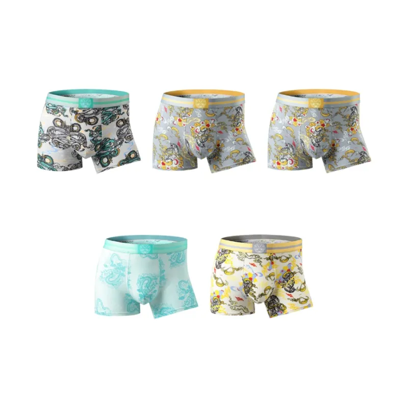 PLANDOO Underpants Men's 5 Pack-3