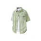 Light green (upgraded version)