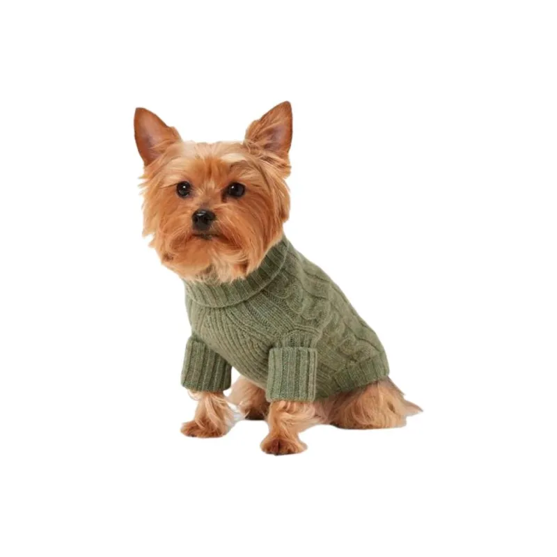 Polo Ralph Lauren Pet Clothing-0