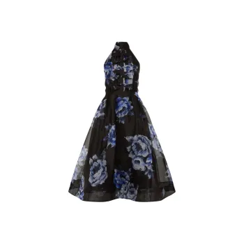 Rebecca Vallance Florentine Floral print Silk chiffon Dress