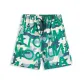 CK010-Green