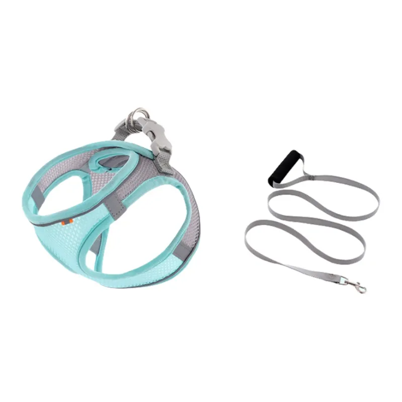 REnextop Leashes-1