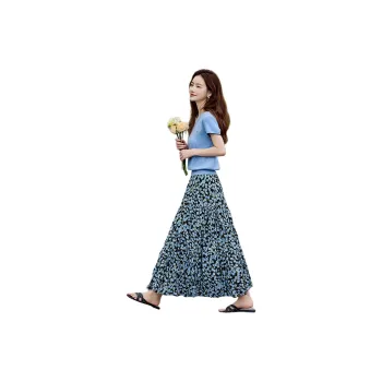 Still quiet Two Piece Skirt Sets Women's Blue/Multicolor