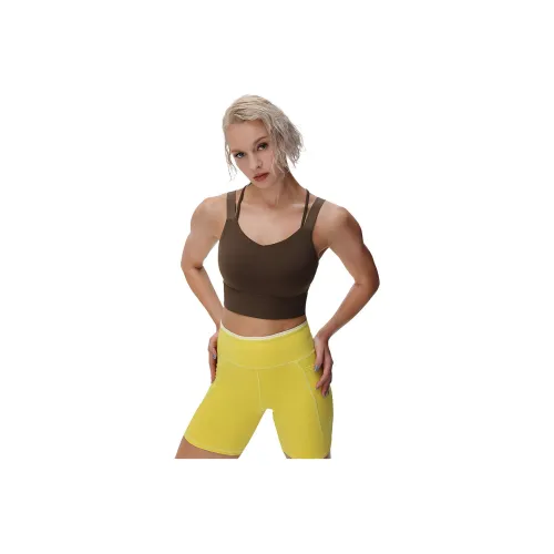 Particle Fever Sports Underwear Women's Espresso