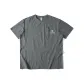 Stone Gray