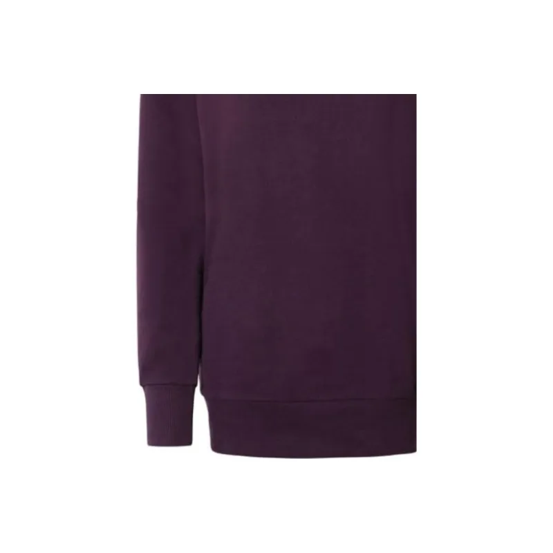THE NORTH FACE Sweatshirt Women's Burgundy-2