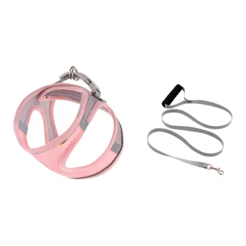 REnextop Leashes