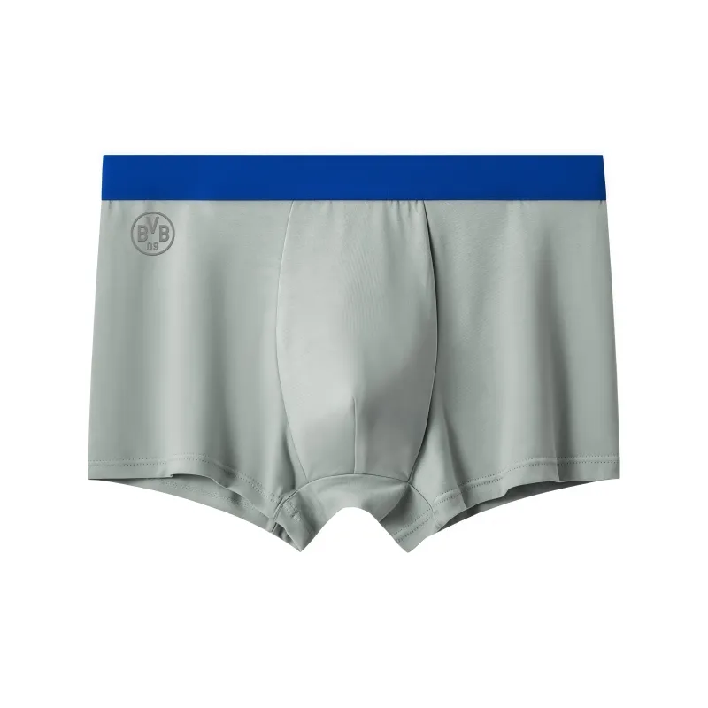 PULUSHIDUOTEMENGDE Underpants Men's Combo Set-12