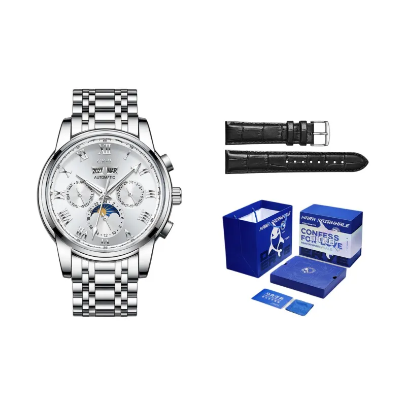 FAIRWHALE CK II Collaboration Automatic Mechanical Movement Metal Strap Watch Men's Watches Black Dial-7
