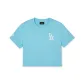 Aqua Blue
